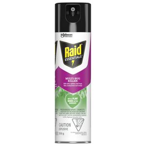 Raid Essentials Multi-Bug Insect Killer Spray, For Indoor Use, 350g