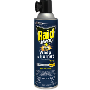 RAID MAX® WASP & HORNET FOAM BUG KILLER 2